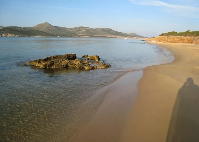 Blue Dolphin Antiparos And