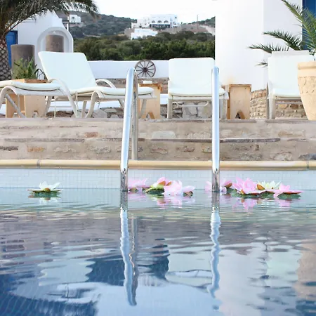 Blue Dolphin Antiparos And *
