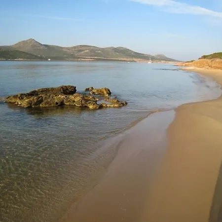 Blue Dolphin Antiparos And